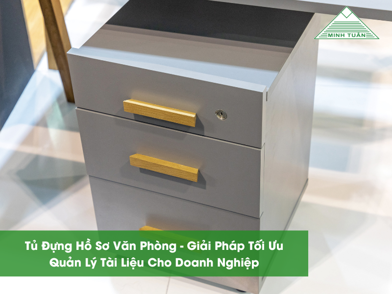 Tủ Đựng Hồ Sơ Văn Phòng - Giải Pháp Tối Ưu Quản Lý Tài Liệu Cho Doanh Nghiệp