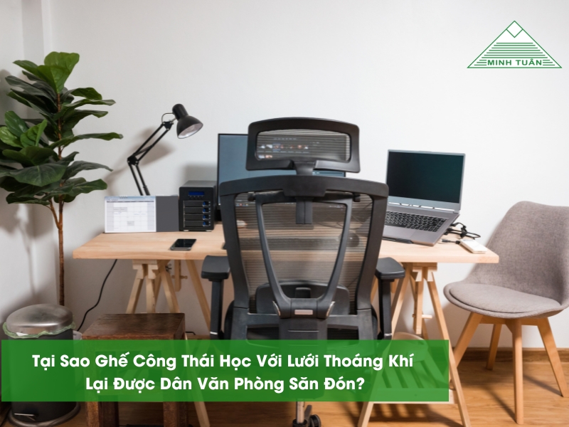 Tại Sao Ghế Công Thái Học Với Lưới Thoáng Khí Lại Được Săn Đón?