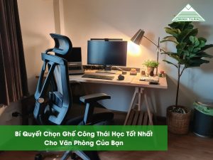 Bí Quyết Chọn Ghế Công Thái Học Tốt Nhất Cho Văn Phòng Của Bạn