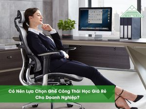 Có Nên Lựa Chọn Ghế Công Thái Học Giá Rẻ Cho Doanh Nghiệp?
