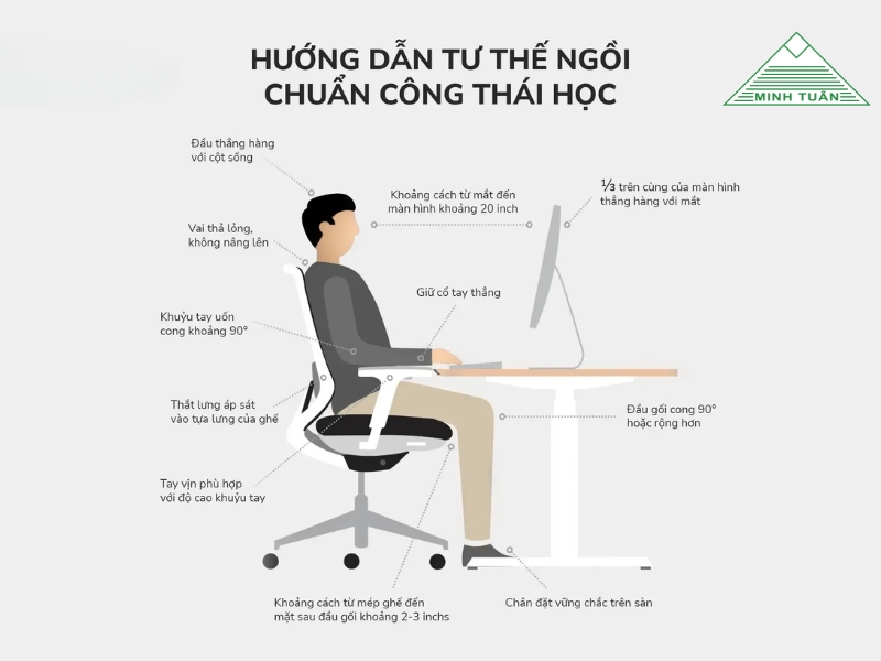 Hướng Dẫn Tư Thế Ngồi Chuẩn Với Ghế Công Thái Học