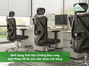 Ghế Công Thái Học Chống Đau Lưng: Giải Pháp Tối Ưu Cho Sức Khỏe Cột Sống