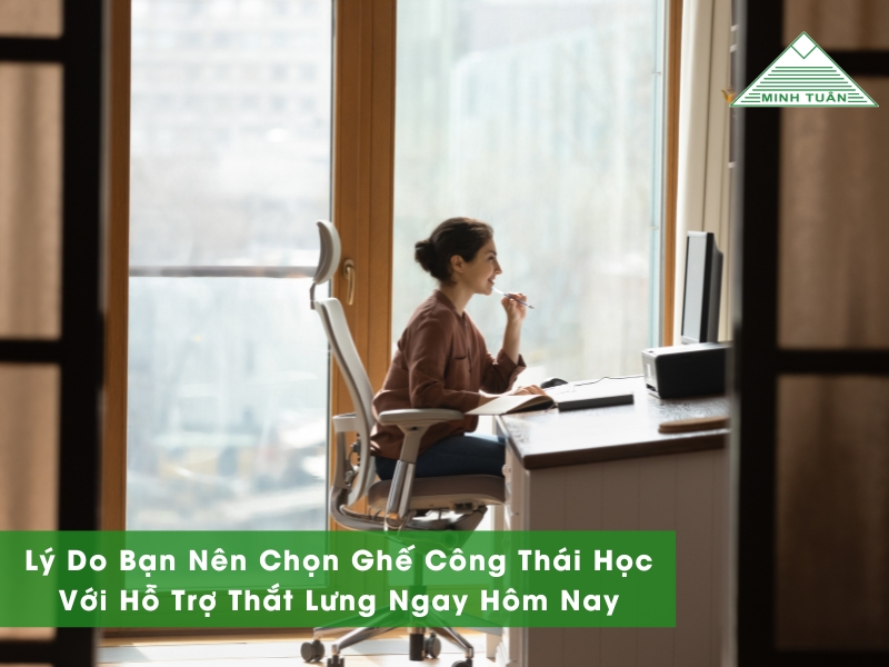 Lý Do Bạn Nên Chọn Ghế Công Thái Học Với Hỗ Trợ Thắt Lưng Ngay Hôm Nay
