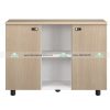 Tủ Tài Liệu NewTrend VIP NTV880-3T1