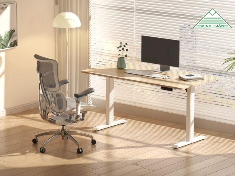 Ghế Công Thái Học Tốt Nhất Cho IT, Designer Và Dân Văn Phòng
