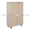 Tủ Tài Liệu NTV1260D