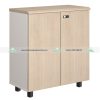 Tủ Tài Liệu NTV880D