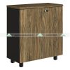 Tủ Tài Liệu NTV880D