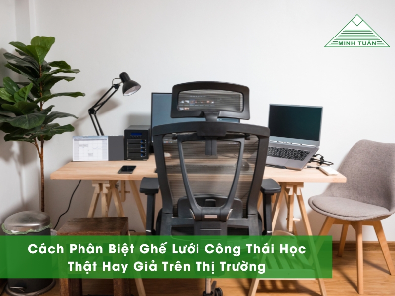 Cách Phân Biệt Ghế Lưới Công Thái Học Thật Hay Giả Trên Thị Trường