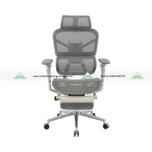 Ghế Công Thái Học GLE17