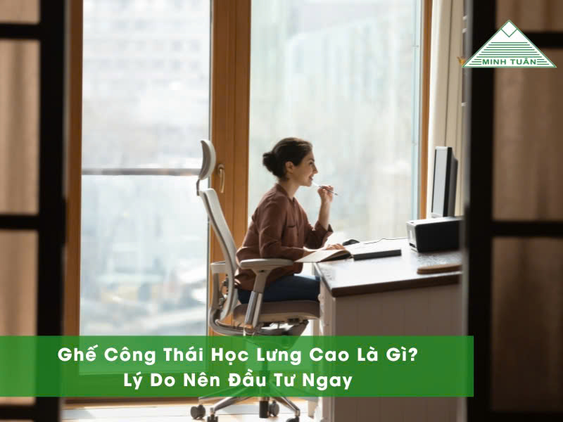 Ghế Công Thái Học Lưng Cao Là Gì? Lý Do Nên Đầu Tư Ngay