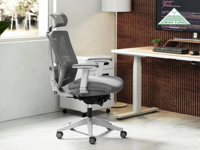 Hướng Dẫn Chọn Mua Ghế Công Thái Học: 5 Tiêu Chí Cần Biết Trước Khi Mua
