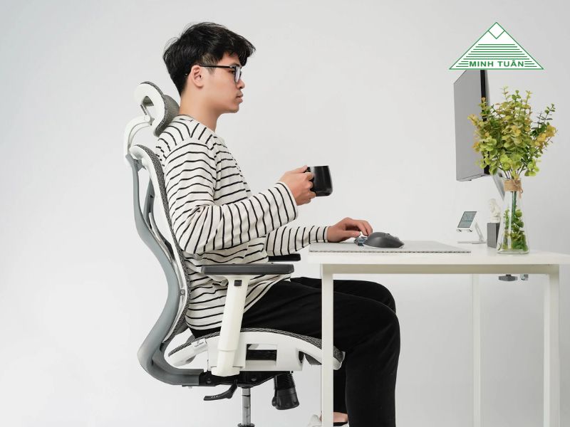 Lựa Chọn Chất Liệu Ghế Công Thái Học Tốt Nhất Cho Từng Nhu Cầu