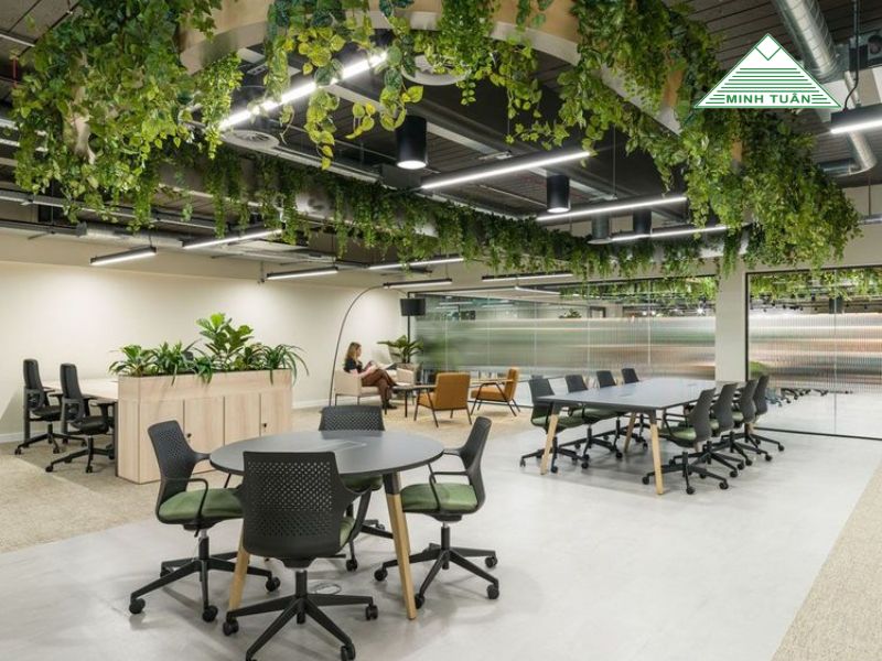 Khám Phá Ghế Lưới Văn Phòng Giá Rẻ: Chất Lượng Cao, Giá Tốt Nhất Thị Trường!