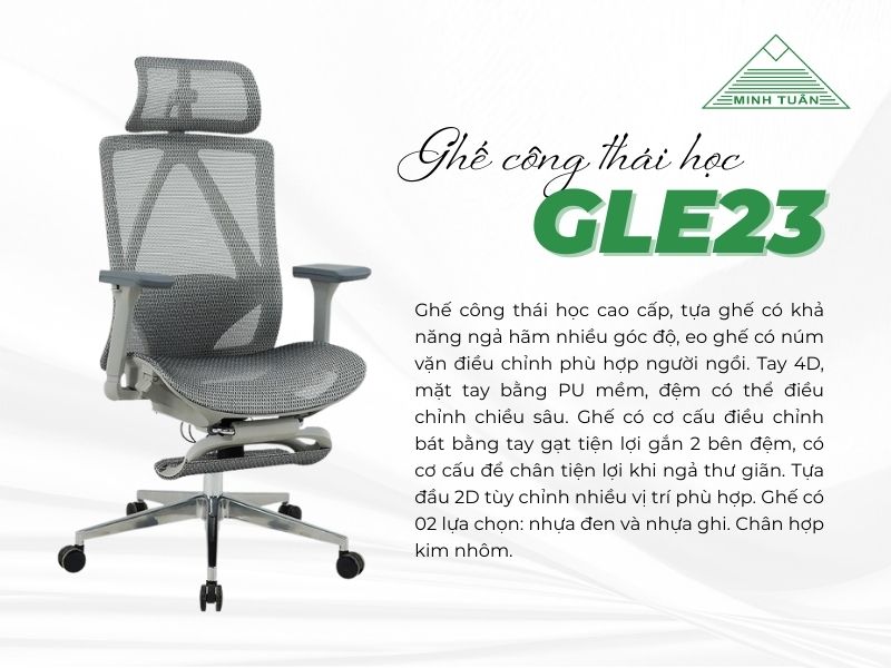 Sự Thật Bất Ngờ Về Ghế Công Thái Học GLE23 – Bạn Đã Biết Chưa?