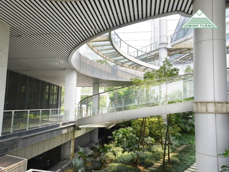 Mang Thiên Nhiên Vào Văn Phòng: Tìm Lại Năng Lượng Và Cảm Hứng Mỗi Ngày