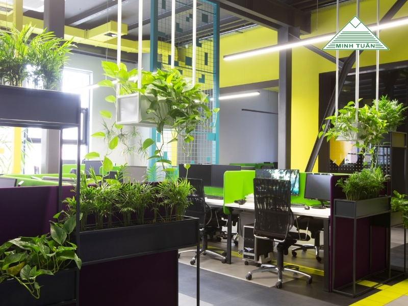 Mang Thiên Nhiên Vào Văn Phòng: Tìm Lại Năng Lượng Và Cảm Hứng Mỗi Ngày