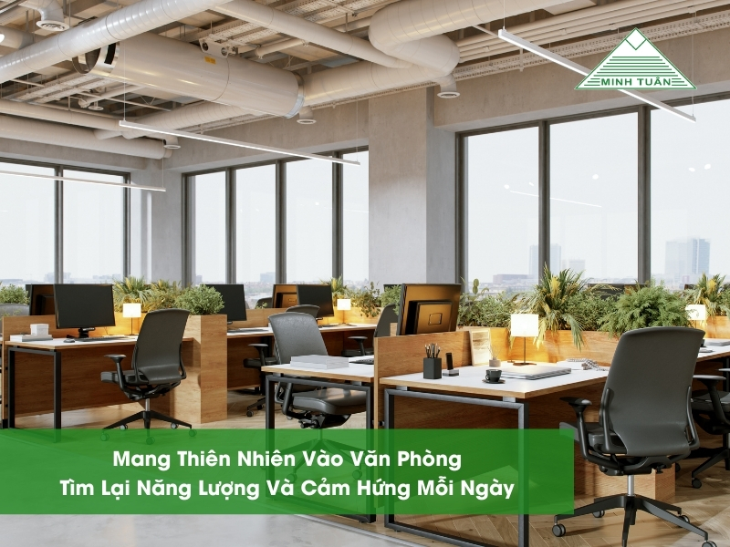 Mang Thiên Nhiên Vào Văn Phòng: Tìm Lại Năng Lượng Và Cảm Hứng Mỗi Ngày