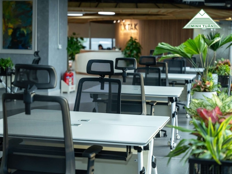 Văn Phòng Coworking: Bí Mật Giúp Startup Tiết Kiệm 50% Chi Phí Mỗi Tháng