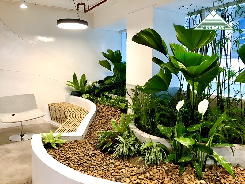 Hướng Dẫn Thiết Kế Tiểu Cảnh Văn Phòng Tối Ưu Không Gian Và Phong Thủy