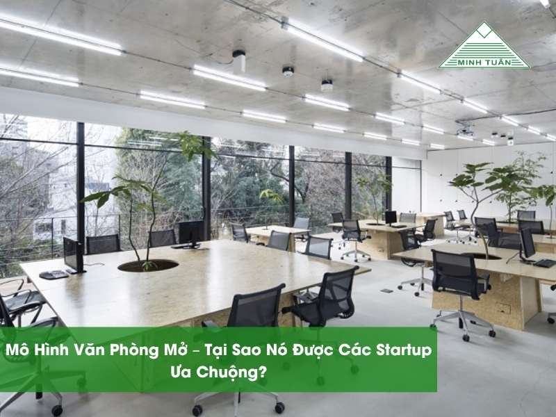 Mô Hình Văn Phòng Mở – Tại Sao Nó Được Các Startup Ưa Chuộng?